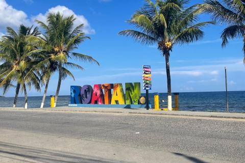 Roatan luiaards + eilandtourPrivérondleiding door Roatan-luiaards en eilanden