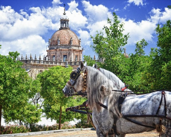 Visit Jerez Historic Center Guided Tour in Costa Ballena