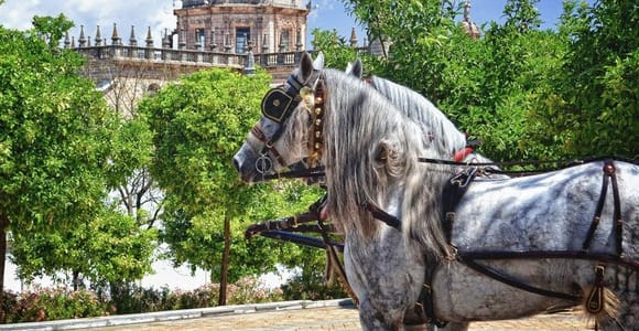 Jerez: Historic Center Guided Tour