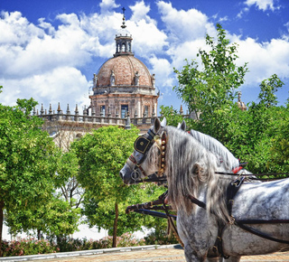 Historic Center: Tours and Guided Visits