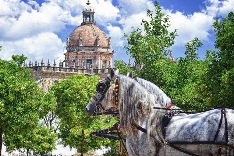 Jerez: Geführte Tour durch das historische Stadtzentrum