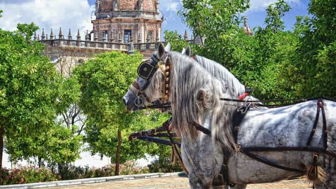 jerez historic center guided tour