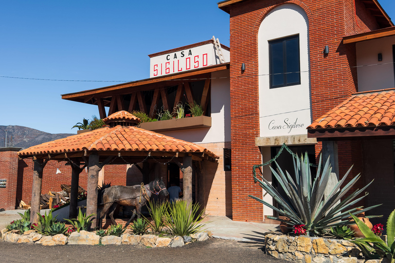 Mezcal, Agave, and Pulque Tour in Oaxaca