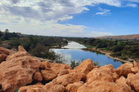 Pequeño viaje al desiertopequeño viaje al desierto