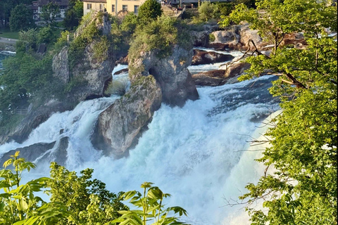 Zurich: Rhine Falls Golden Hour Express Tour