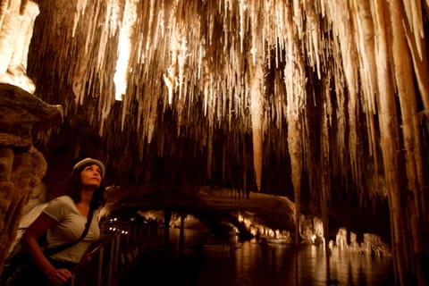 Mallorca: Caves of Drach Tour from the North by Boat