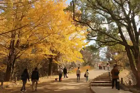 Fukuoka: Hidden History of Zen, Castles & Rebellion Tour