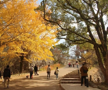 Fukuoka: História oculta do zen, castelos e rebelião