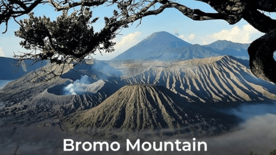 4D3N-Borobudur-Prambanan-Bromo-Ijen-Ketapang | GetYourGuide