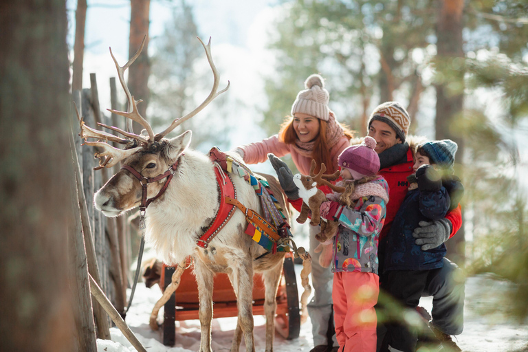 Ab Rovaniemi: Besuch einer Rentierfarm mit Schlittenfahrt