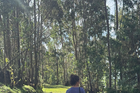 From Addis Ababa: 3-Day Ethiopia Highlights Adventure