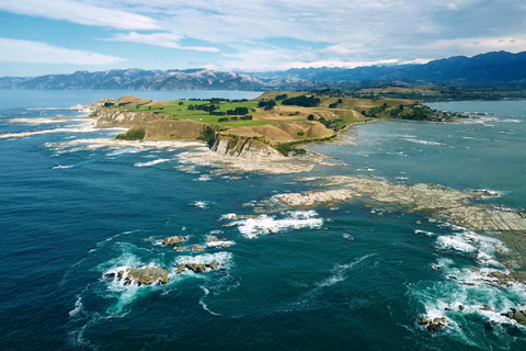 Christchurch to Kaikōura 1 way scenic tour