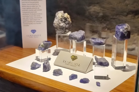 زنجبار: تذكرة دخول متحف التنزانيت ومتجر المجوهراتجولة مع نقطة الالتقاء في مبنى الحصن القديم