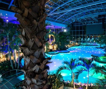 Bucareste: Therme Bucareste: ingresso e transfer à noite