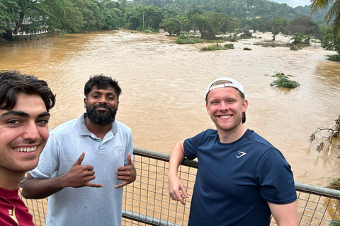 From Kandy: Sigiriya, Dambulla and Elephant Safari
