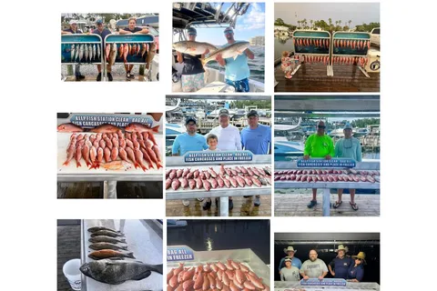 Destin: Have Fun Charters Fishing Experience