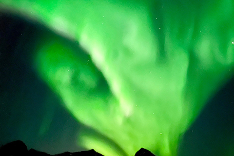Senja: Northern Lights Snowshoe Hike with Guide & Snacks