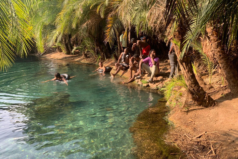 Excursión a las termas y el café (día completo) con Kingstone Asilia