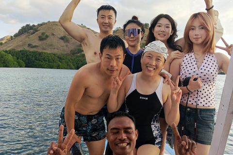 Komodo 1 day trip with speed boat