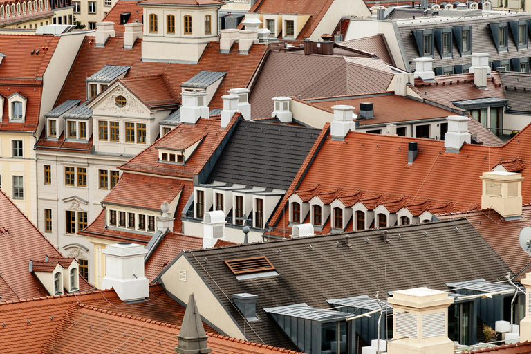 دريسدن: جولة سير خاصة بصحبة مرشد مع خدمة الالتقاء في الفندقدريسدن: جولة لمدة ساعتين مع مرشد خصوصي