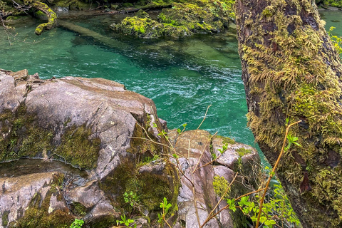 Sitka: Private Guided Tongass National Forest Hiking Tour Sitka: Private Guided Hiking Tour-Half Day