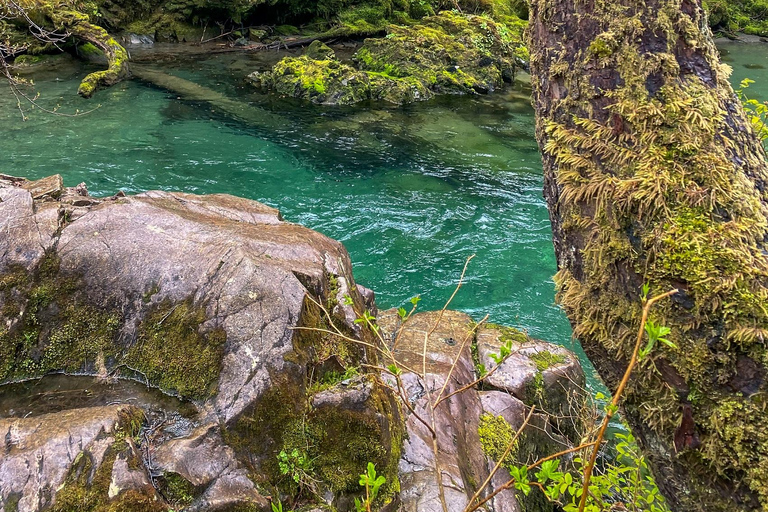 Sitka: Private Guided Tongass National Forest Hiking Tour Sitka: Private Guided Hiking Tour-Half Day