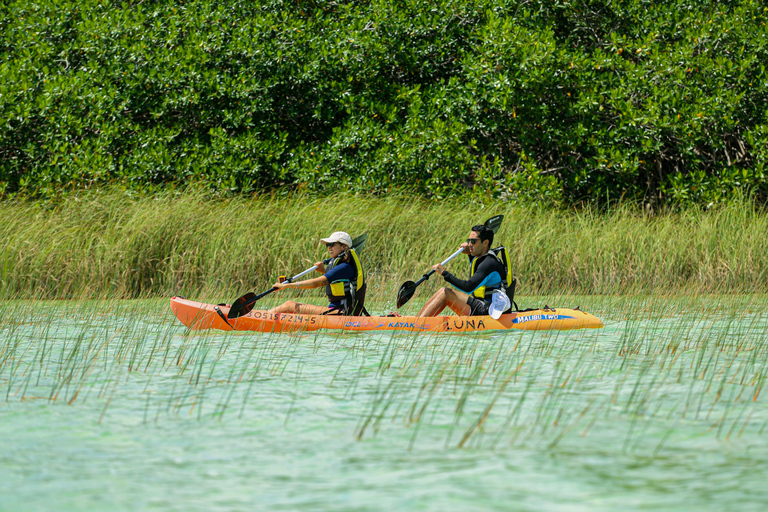 Tulum: Sian Ka'an Biosphere Reserve Kayak Tour