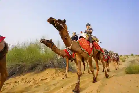 Half Day Overnight Camel Safari by Wanderlust