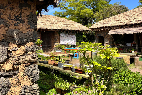 Desde Jeju: excursión a sitios de la UNESCO