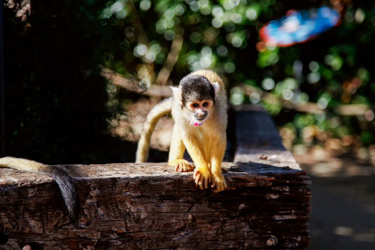 London Zoo: entreeticket