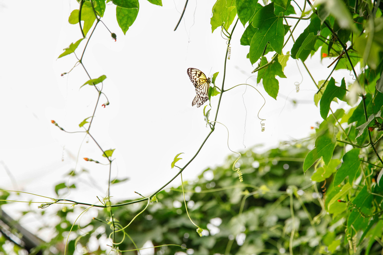 London Zoo: entreeticket