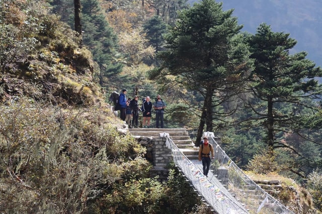 Elevate Your Spirit: A Day Hike through Shivapuri's Splendor