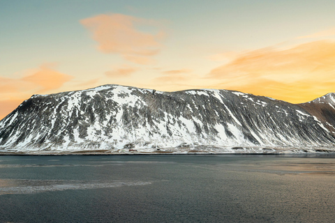 Iceland: Reynisfjara Black‑Sand Beach Horseback Adventure