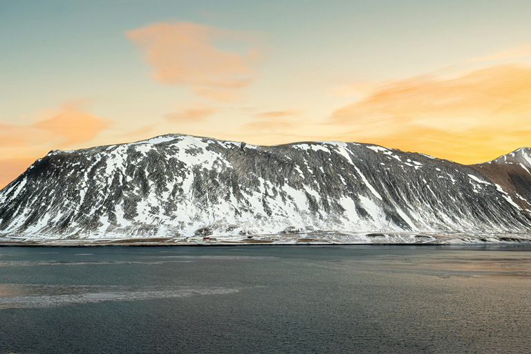Iceland: Reynisfjara Black‑Sand Beach Horseback Adventure