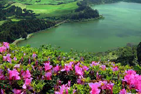 Furnas Hot Springs: Day 4WD Tour from Ponta Delgada