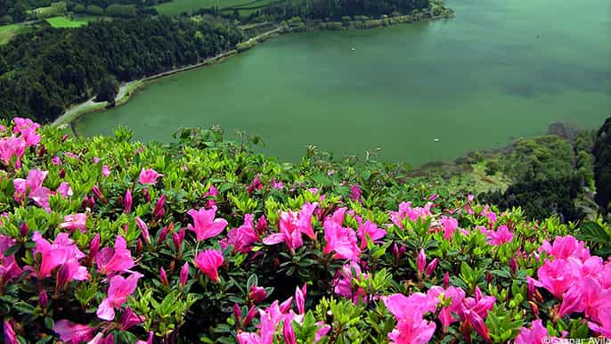 furnas hot springs day 4wd tour from ponta delgada