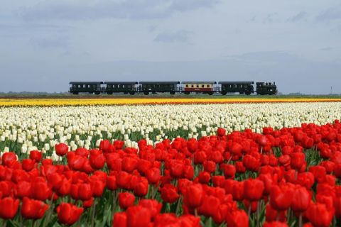 North Holland by Steam Ship & Steam Train Full-Day Tour