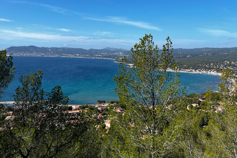 Saint-Cyr-sur-mer: guided hike to the Sand Dune