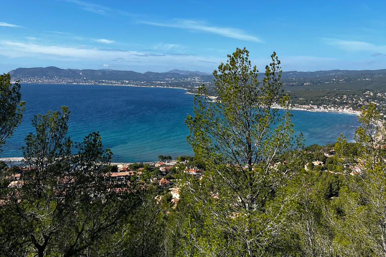 Saint-Cyr-sur-mer: guided hike to the Sand Dune