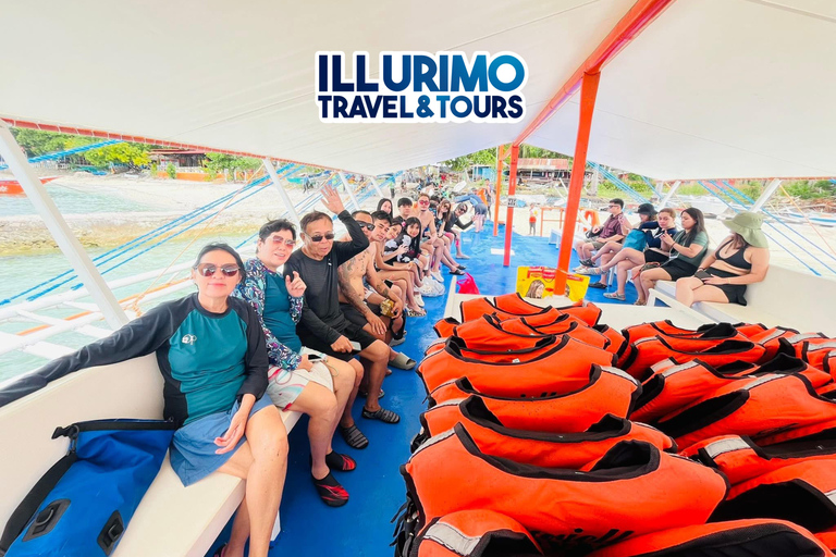 Oslob: Whale Shark Snorkeling Experience