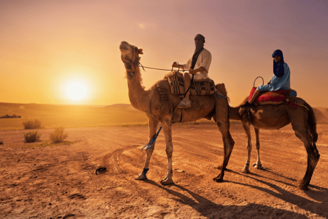 Marrakech to Agafay: Sunset, Quad, Camel & Dinner, Fire show Marrakech: Agafay Desert, Sunset Quad, Camel & Dinner.