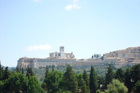 Day trip from Rome to Assisi and Orvieto - 10 hours
