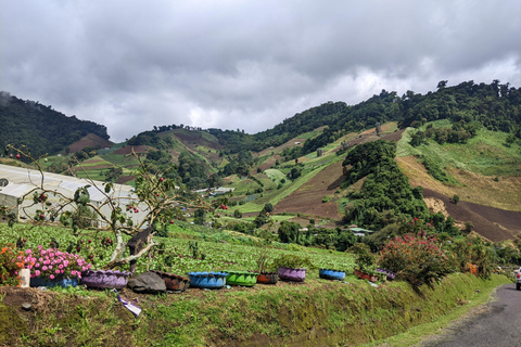 Panama City: Personalized Tour with Local Guide
