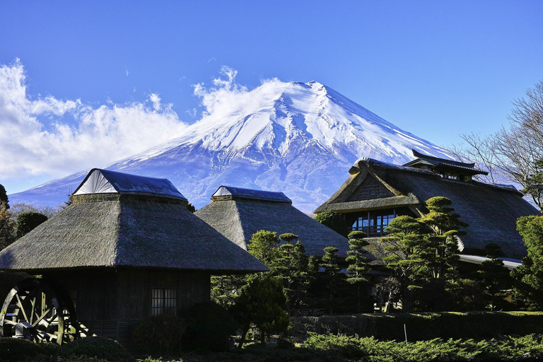 From Tokyo: Mount Fuji day Trip with English Speaking Driver From Tokyo: Private 1-Day Mount Fuji Charter with Driver