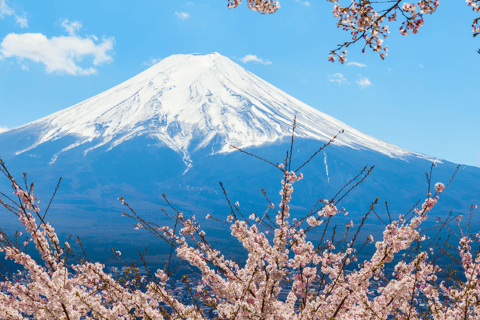 Japão: Visita guiada de 7 dias com alojamento em hotel