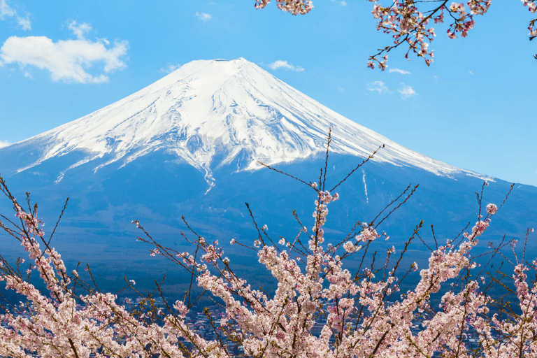 Japão: Visita guiada de 7 dias com alojamento em hotel