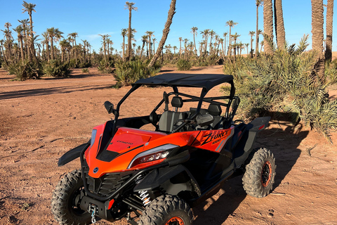 Marrakech : Palm Grove and jbilat Desert Buggy 1000cc Tour