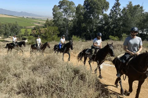 Vrede en Lust Wine Estate: 2H Horse Trail