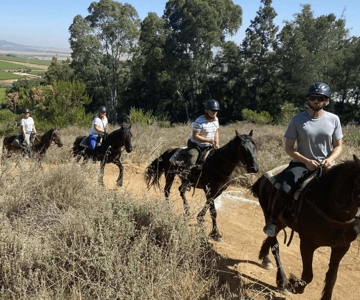 Vrede en Lust Wine Estate: 2H Horse Trail