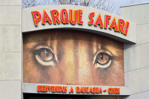 Depuis Santiago : Safari Park, une expérience sauvagePoint de rencontre : Encomenderos 260, Las Condes